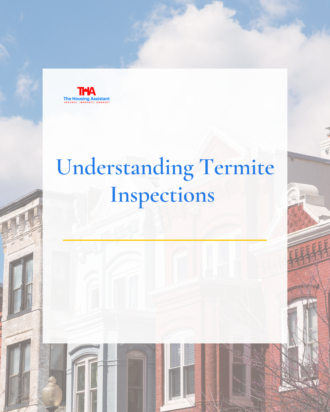 Understanding Termite Inspections - THA